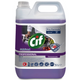 CIF PF SAFEGUARD 5L