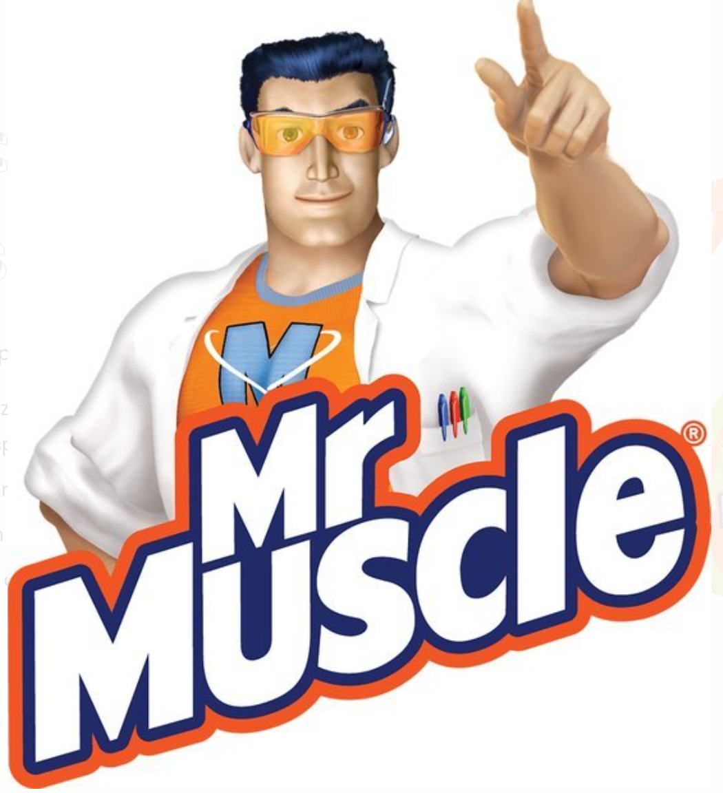 MR. MUSCLE CLEAN & SHINE