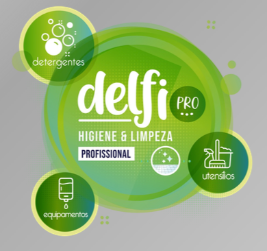 DELFI PRO CAR BRUSH